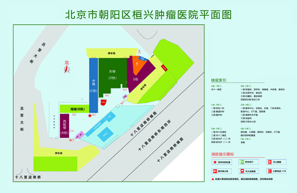 麻豆操逼视频北京市朝阳区桓兴肿瘤医院平面图